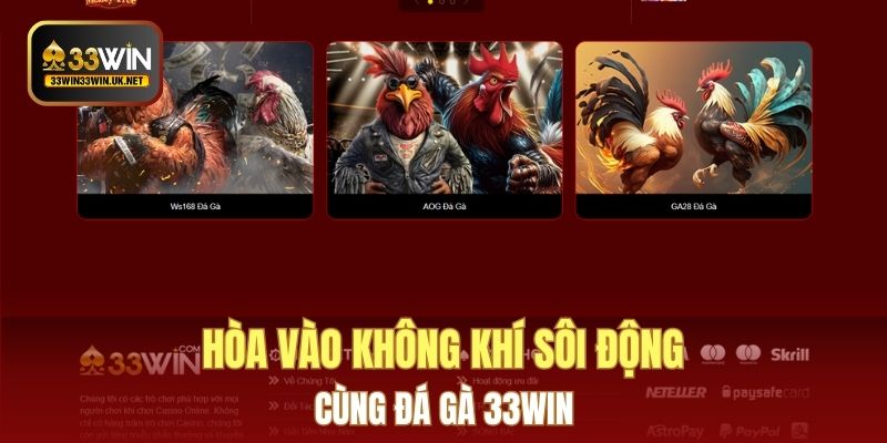 Hòa vào không khí sôi động cùng đá gà 33WIN